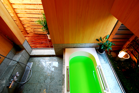 印旛の家　外と繋がる浴室