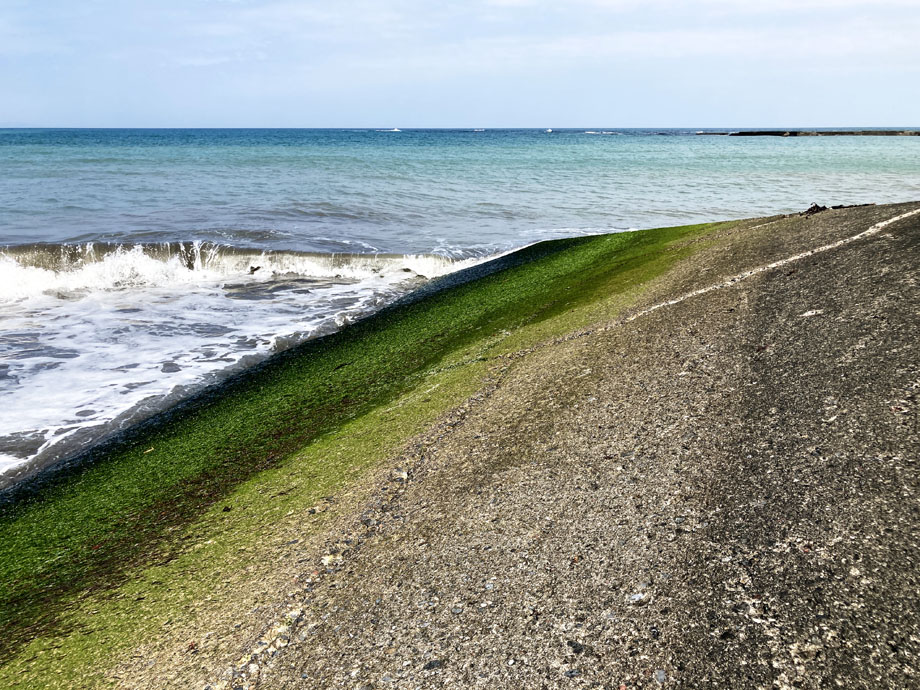 南房総の海